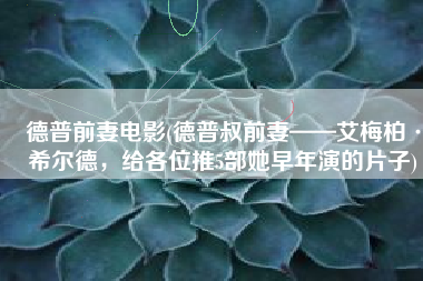 德普前妻电影(德普叔前妻——艾梅柏·希尔德，给各位推5部她早年演的片子)