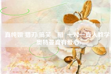 真纯姐 猎刃(搞笑囧图  一对一真人教学，奥特曼真有爱心)