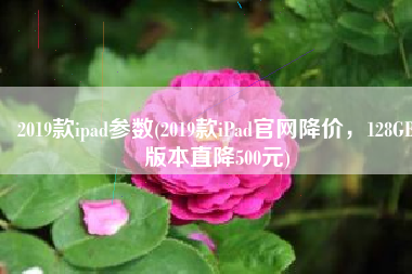 2019款ipad参数(2019款iPad官网降价，128GB版本直降500元)