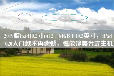 2019款ipad10.2寸(A12+64GB+10.2英寸，iPad 2020入门款不再遗憾，性能媲美台式主机)