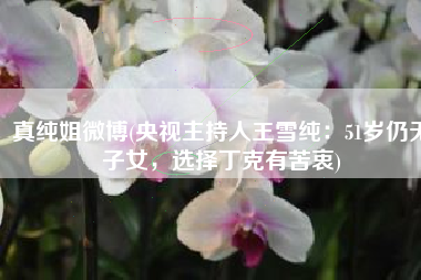 真纯姐微博(央视主持人王雪纯：51岁仍无子女，选择丁克有苦衷)