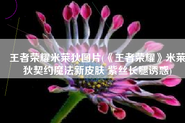 王者荣耀米莱狄图片(《王者荣耀》米莱狄契约魔法新皮肤 紫丝长腿诱惑)