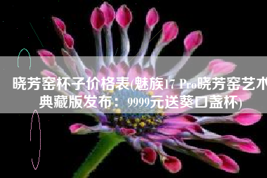 晓芳窑杯子价格表(魅族17 Pro晓芳窑艺术典藏版发布：9999元送葵口盏杯)