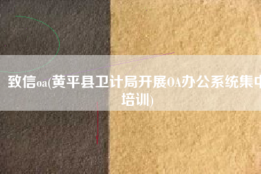 致信oa(黄平县卫计局开展OA办公系统集中培训)