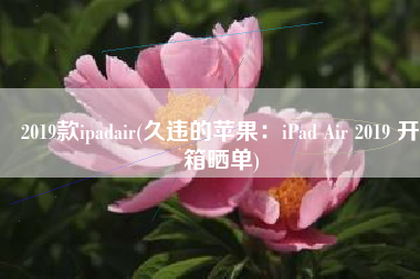 2019款ipadair(久违的苹果：iPad Air 2019 开箱晒单)