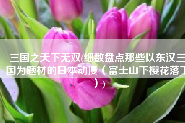 三国之天下无双(细数盘点那些以东汉三国为题材的日本动漫（富士山下樱花落下）)