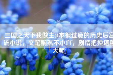 三国之天下我做主(4本很过瘾的历史后宫流小说，文笔娴熟不小白，剧情把控堪称大师)
