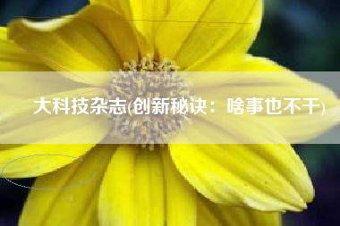 大科技杂志(创新秘诀：啥事也不干)