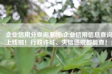 企业信用分查询系统(企业信用信息查询上线啦！行政许可、失信惩戒都能查！)