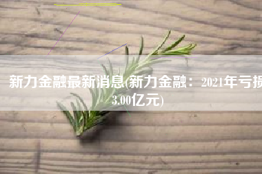 新力金融最新消息(新力金融：2021年亏损3.00亿元)