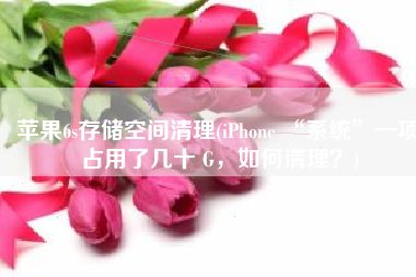 苹果6s存储空间清理(iPhone “系统”一项占用了几十 G，如何清理？)