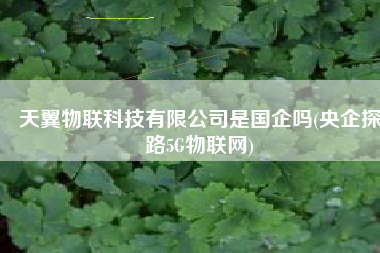 天翼物联科技有限公司是国企吗(央企探路5G物联网)