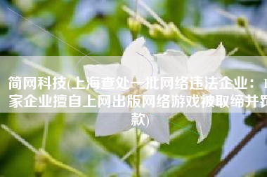 简网科技(上海查处一批网络违法企业：11家企业擅自上网出版网络游戏被取缔并罚款)