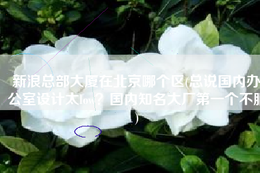 新浪总部大厦在北京哪个区(总说国内办公室设计太low？国内知名大厂第一个不服)