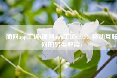 简网app工场(简网App工场CEO：移动互联网的另类解读)