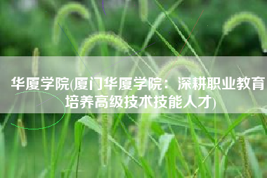华厦学院(厦门华厦学院：深耕职业教育 培养高级技术技能人才)