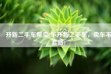 开新二手车帮卖(车开新二手车，卖车不套路)
