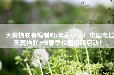 天翼物联有编制吗(年薪18w+！中国电信天翼物联2020春季校园招聘启动！)