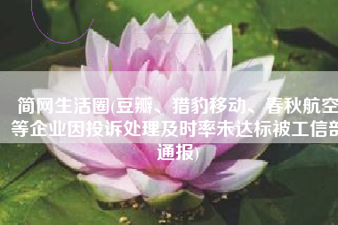 简网生活圈(豆瓣、猎豹移动、春秋航空等企业因投诉处理及时率未达标被工信部通报)
