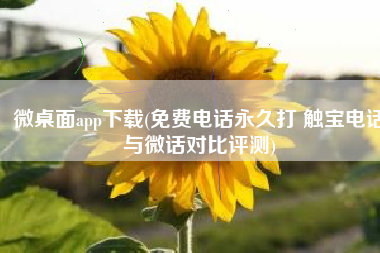 微桌面app下载(免费电话永久打 触宝电话与微话对比评测)