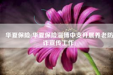 华夏保险(华夏保险淄博中支开展养老防诈宣传工作)