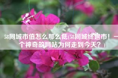 58同城市值怎么那么低(58同城终退市！一个神奇的网站为何走到今天？)