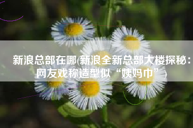 新浪总部在哪(新浪全新总部大楼探秘：网友戏称造型似“姨妈巾”)
