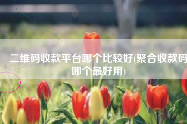 二维码收款平台哪个比较好(聚合收款码哪个最好用)