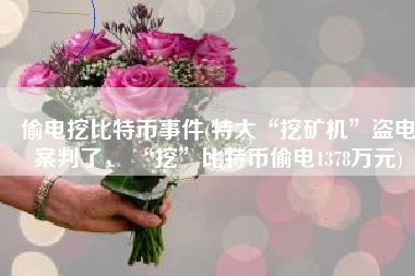 偷电挖比特币事件(特大“挖矿机”盗电案判了， “挖”比特币偷电1378万元)