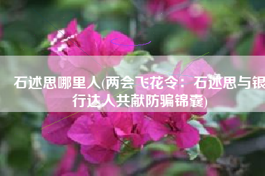 石述思哪里人(两会飞花令：石述思与银行达人共献防骗锦囊)