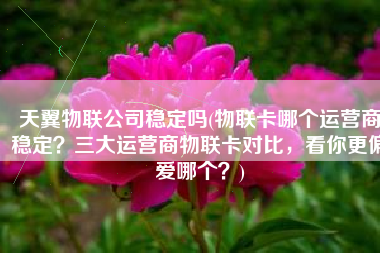 天翼物联公司稳定吗(物联卡哪个运营商稳定？三大运营商物联卡对比，看你更偏爱哪个？)