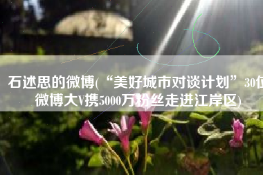 石述思的微博(“美好城市对谈计划”30位微博大V携5000万粉丝走进江岸区)