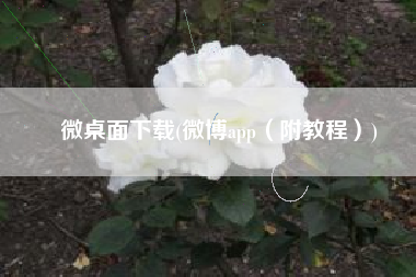 微桌面下载(微博app（附教程）)