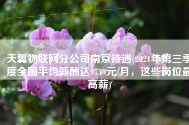 天翼物联网分公司南京待遇(2021年第三季度全国平均薪酬达9739元/月，这些岗位最高薪)
