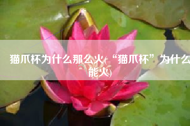 猫爪杯为什么那么火(“猫爪杯”为什么能火)