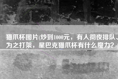 猫爪杯图片(炒到1000元，有人彻夜排队、为之打架，星巴克猫爪杯有什么魔力？)