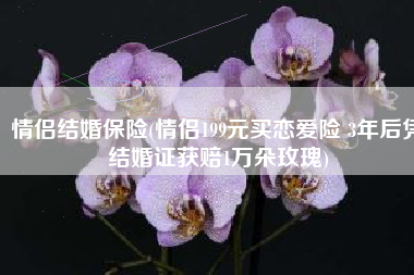情侣结婚保险(情侣199元买恋爱险 3年后凭结婚证获赔1万朵玫瑰)