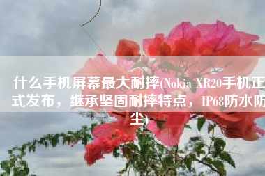 什么手机屏幕最大耐摔(Nokia XR20手机正式发布，继承坚固耐摔特点，IP68防水防尘)