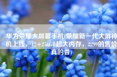 华为荣耀大屏幕手机(荣耀新一代大屏神机上线，12+256GB超大内存，2299的售价真的香)