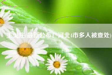 王戈庄(最新公布！河北4市多人被查处)
