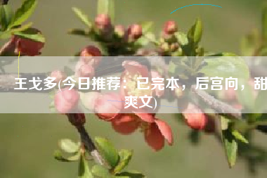 王戈多(今日推荐：已完本，后宫向，甜爽文)