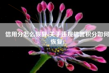 信用分怎么恢复(关于违规信誉积分如何恢复)