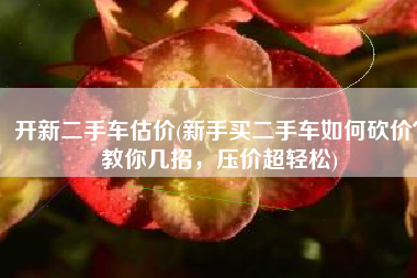 开新二手车估价(新手买二手车如何砍价？教你几招，压价超轻松)