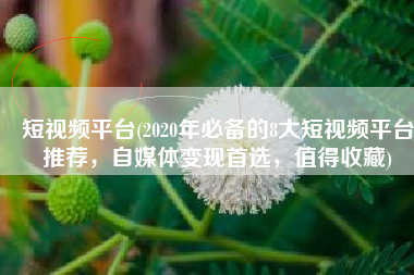 短视频平台(2020年必备的8大短视频平台推荐，自媒体变现首选，值得收藏)