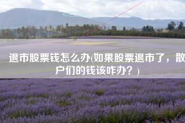 退市股票钱怎么办(如果股票退市了，散户们的钱该咋办？)