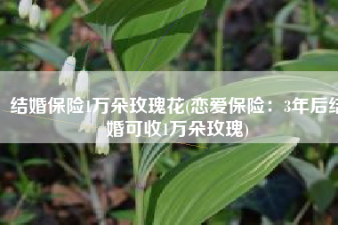 结婚保险1万朵玫瑰花(恋爱保险：3年后结婚可收1万朵玫瑰)