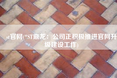 st官网(*ST鼎龙：公司正积极推进官网升级建设工作)