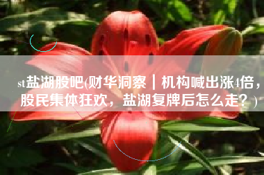 st盐湖股吧(财华洞察｜机构喊出涨4倍，股民集体狂欢，盐湖复牌后怎么走？)
