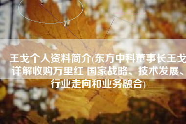 王戈个人资料简介(东方中科董事长王戈详解收购万里红 国家战略、技术发展、行业走向和业务融合)