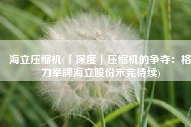 海立压缩机(「深度」压缩机的争夺：格力举牌海立股份未完待续)